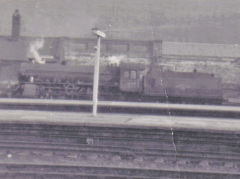 
61039 'Steinbok' at Sheffield Midland Station, South Yorkshire, January 1965
